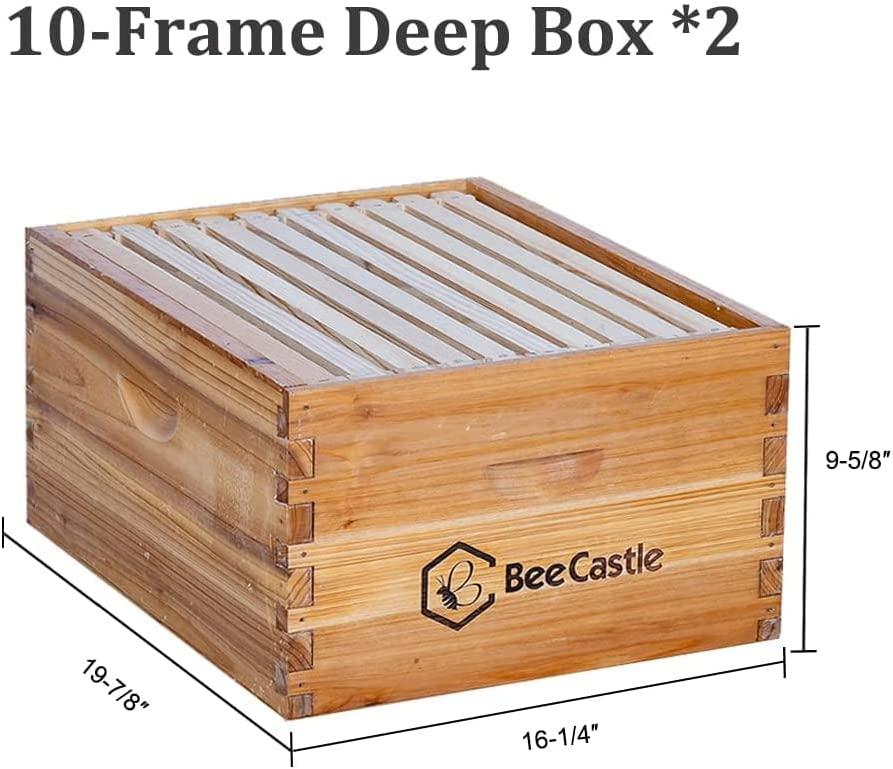 Bee Hive 10 Frame Complete Bee Hives and Supplies Starter Kit, Beeswax Coated Beehives for Beginners with Bee Hive Frame and Waxed Foundation Include 2 Deep Hive Box and 2 Medium Bee Hive Super