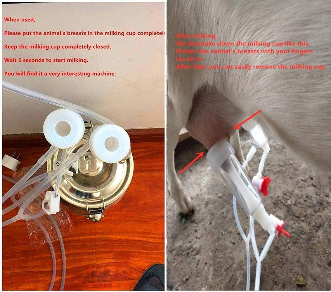 Futt 5L Single Bucket Piston Vacuum pulsation MilMachine for Sheep