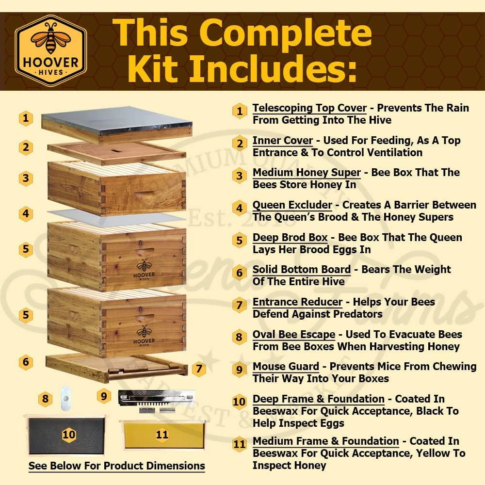 Hoover Hives 10 Frame Langstroth Beehive Dipped in Beeswax Includes Wooden Frames & Waxed Foundations (2 Deep Boxes, 1 Medium Box)(Fully Assembled)