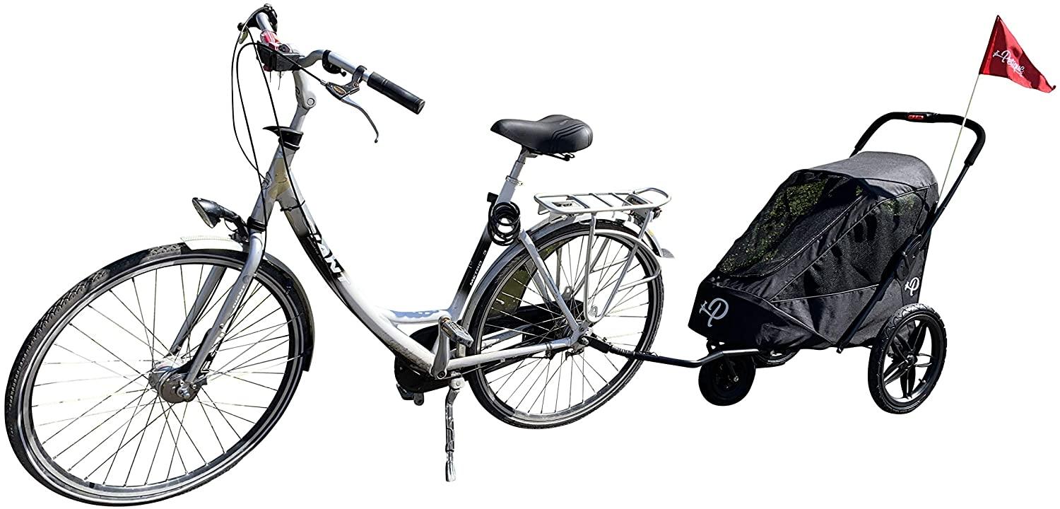 Petique Breeze Jogger- Black
