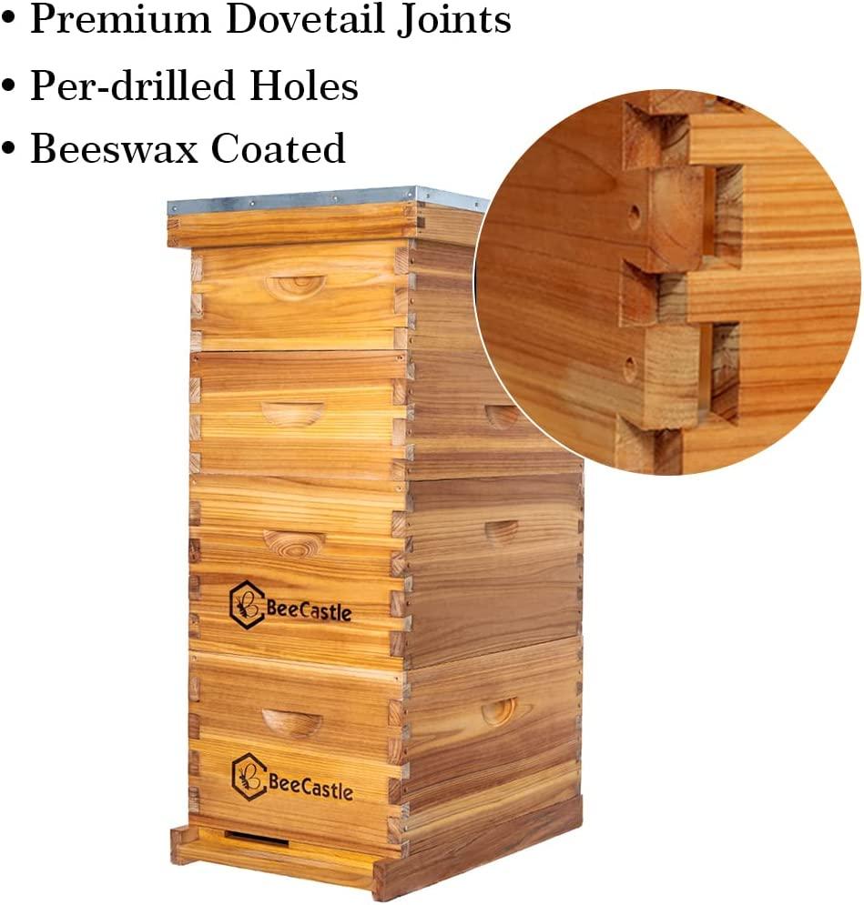 Bee Hive 8 Frame Complete Bee Hives and Supplies Starter Kit, Beeswax Coated Beehives for Beginners with Bee Hive Frame and Waxed Foundation Include 2 Deep Hive Box and 2 Medium Bee Hive Super