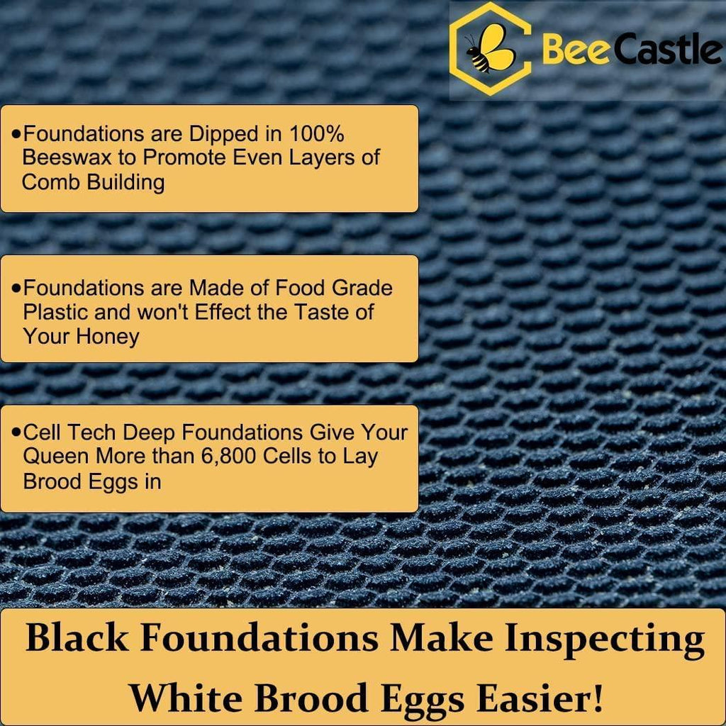 Bee Hive 10 Frame Complete Bee Hives and Supplies Starter Kit, Beeswax Coated Beehives for Beginners with Bee Hive Frame and Waxed Foundation Include 2 Deep Hive Box and 2 Medium Bee Hive Super