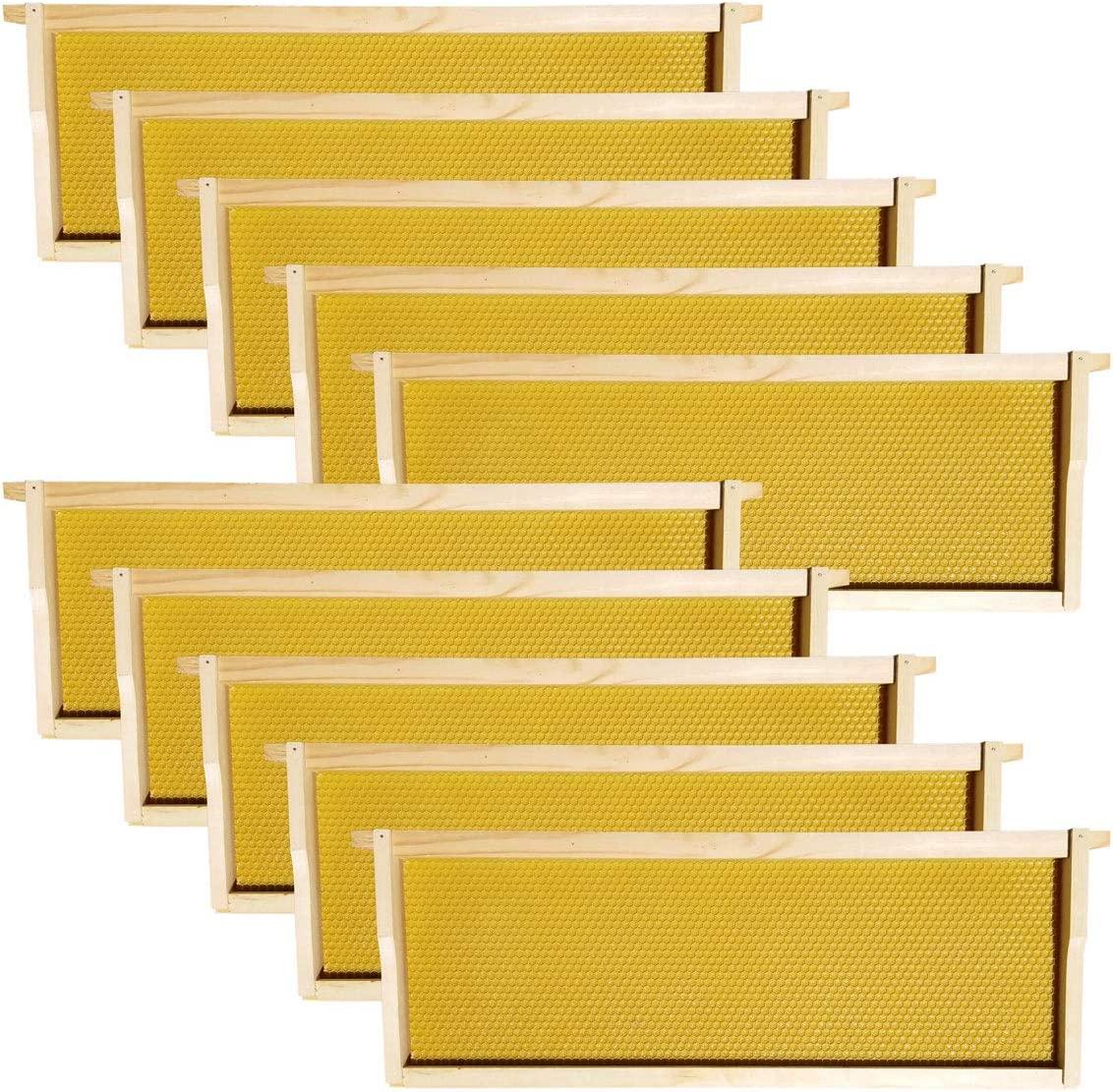 Hoover Hives - Medium Frames & Foundations (40 Pack) - Langstroth Beehive Wooden Frames, Natural Honey Colored Food Grade Plastic Foundations Dipped in Natural Beeswax