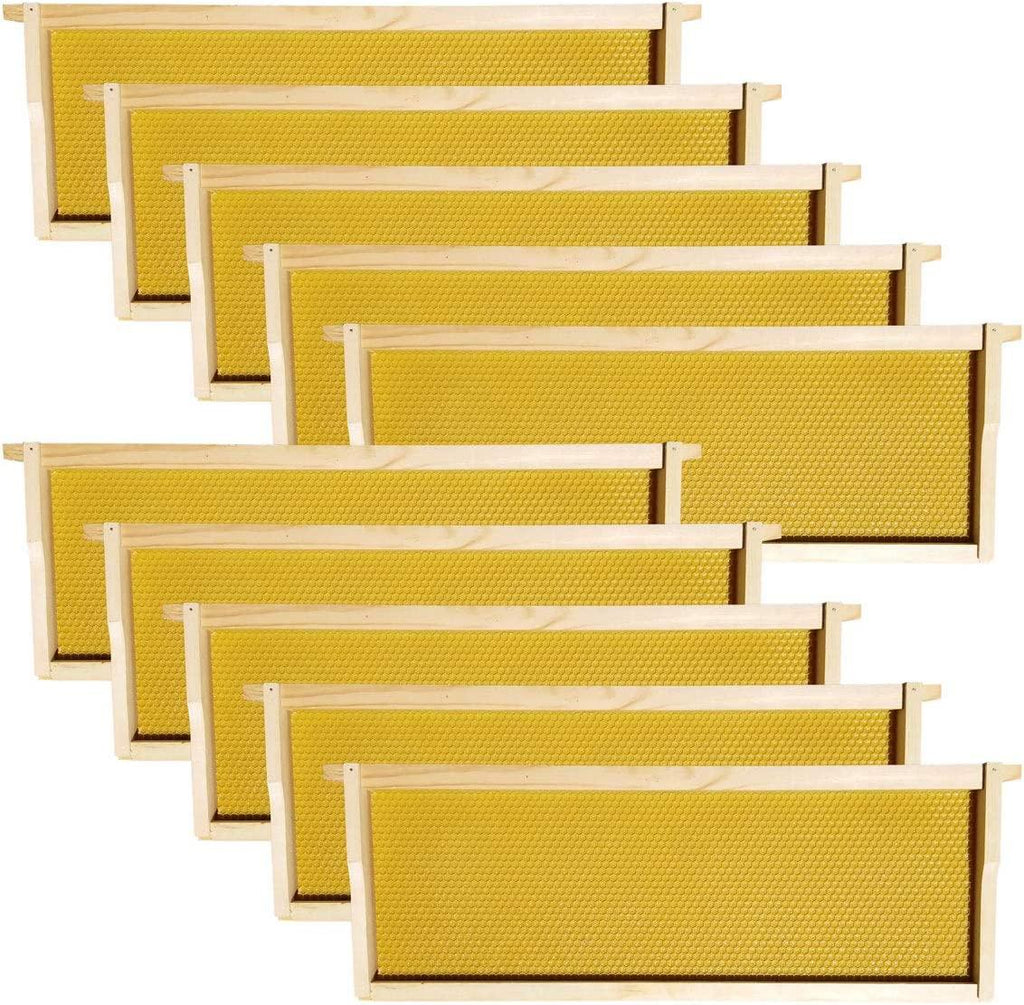 Hoover Hives - Medium Frames & Foundations (40 Pack) - Langstroth Beehive Wooden Frames, Natural Honey Colored Food Grade Plastic Foundations Dipped in Natural Beeswax
