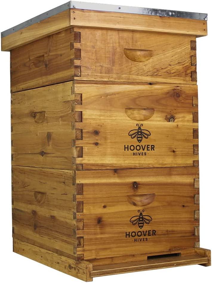 Hoover Hives 10 Frame Langstroth Beehive Dipped in Beeswax Includes Wooden Frames & Waxed Foundations (2 Deep Boxes, 1 Medium Box)