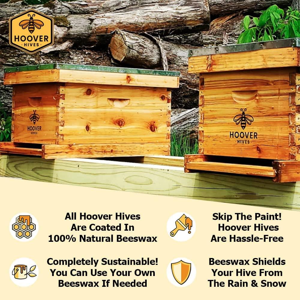 Hoover Hives 10 Frame Langstroth Beehive Dipped in Beeswax Includes Wooden Frames & Waxed Foundations (2 Deep Boxes, 1 Medium Box)