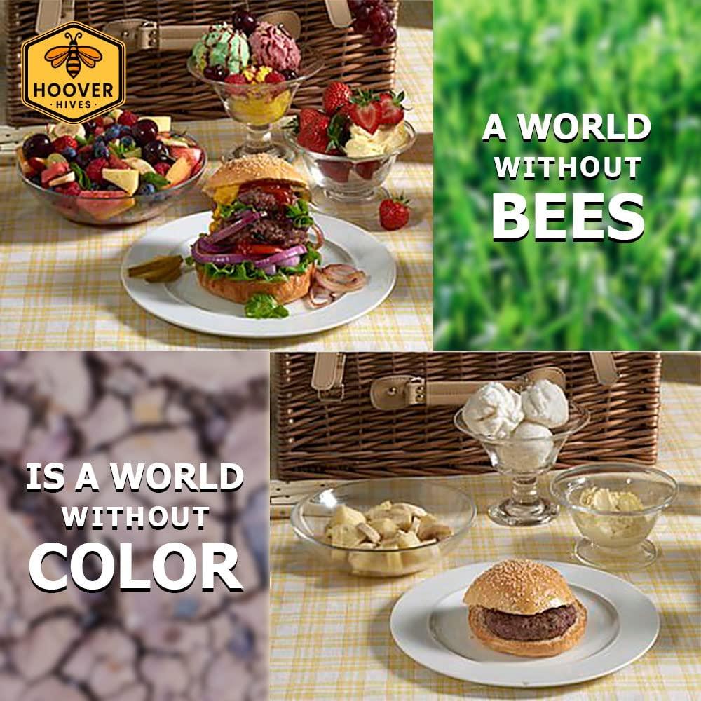 Hoover Hives 8 Frame Langstroth Beehive Dipped in Beeswax Includes Wooden Frames & Waxed Foundations (2 Deep Boxes, 1 Medium Box)(Fully Assembled)