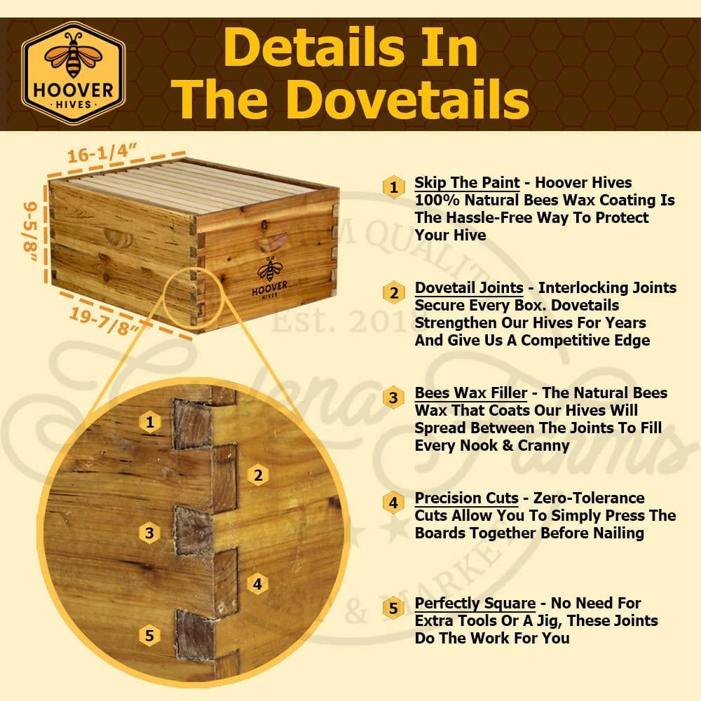 Hoover Hives 10 Frame Langstroth Beehive Dipped in Beeswax Includes Wooden Frames & Waxed Foundations (2 Deep Boxes, 1 Medium Box)