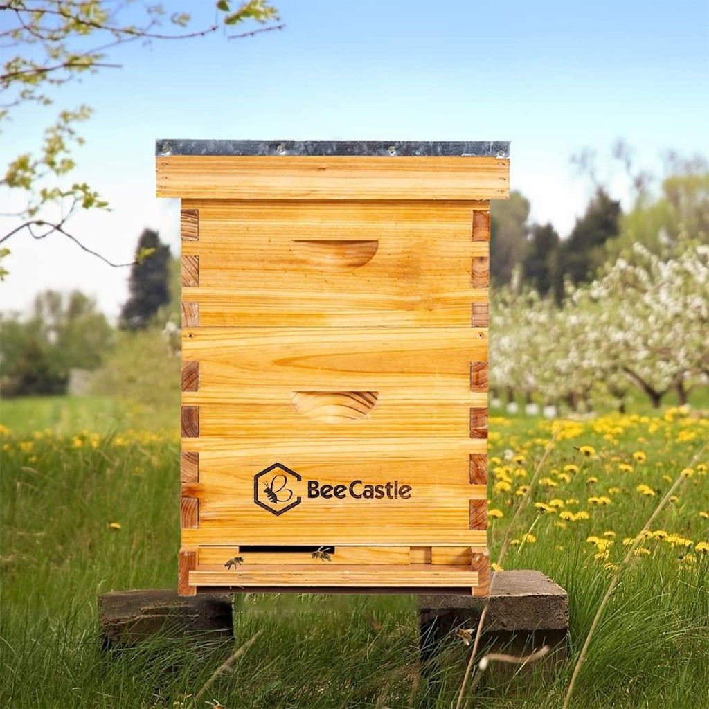 8 Frame Bee Hive Complete Beehive Kit, Beeswax Coated Bee Hive Includes Frames and Beeswax Coated Foundation Sheet (2 Layer)