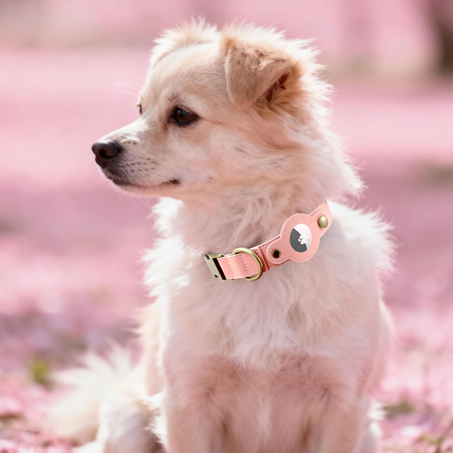 AirTag Dog Collar for Small Dogs Puppy - Soft Leather Dog Collar with Apple AirTag Holder and Metal Buckle - Smart Tracker GPS Apple Air Tag Pet Collars (Red, S)
