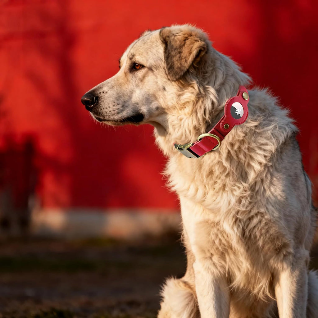 AirTag Dog Collar for Small Dogs Puppy - Soft Leather Dog Collar with Apple AirTag Holder and Metal Buckle - Smart Tracker GPS Apple Air Tag Pet Collars (Red, S)