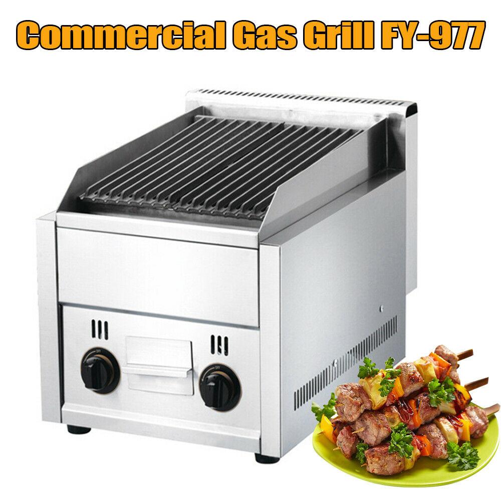 Commercial Gas Grill 2 Burner  Outdoor Garden Barbeque Coo Steel