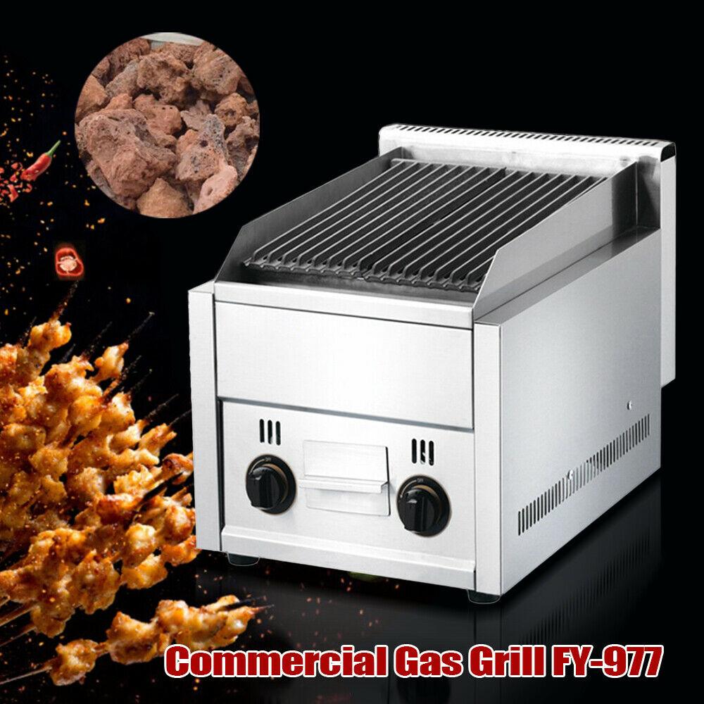 Commercial Gas Grill 2 Burner  Outdoor Garden Barbeque Coo Steel