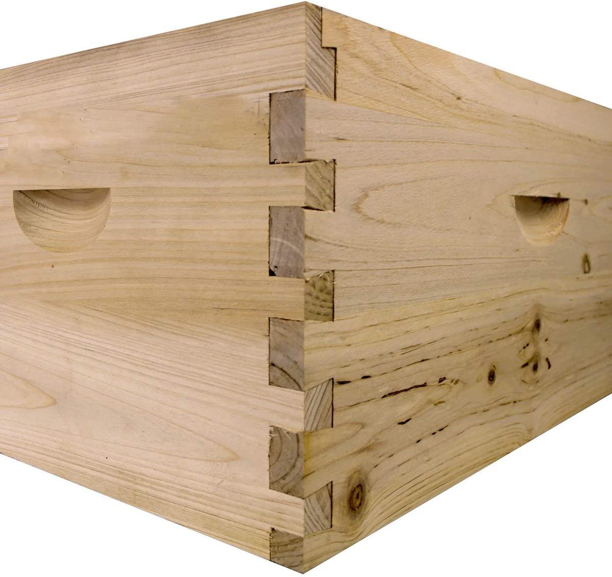 Bee Hive Complete with Frames & Wax Coated Foundations (NU8-2D1M)