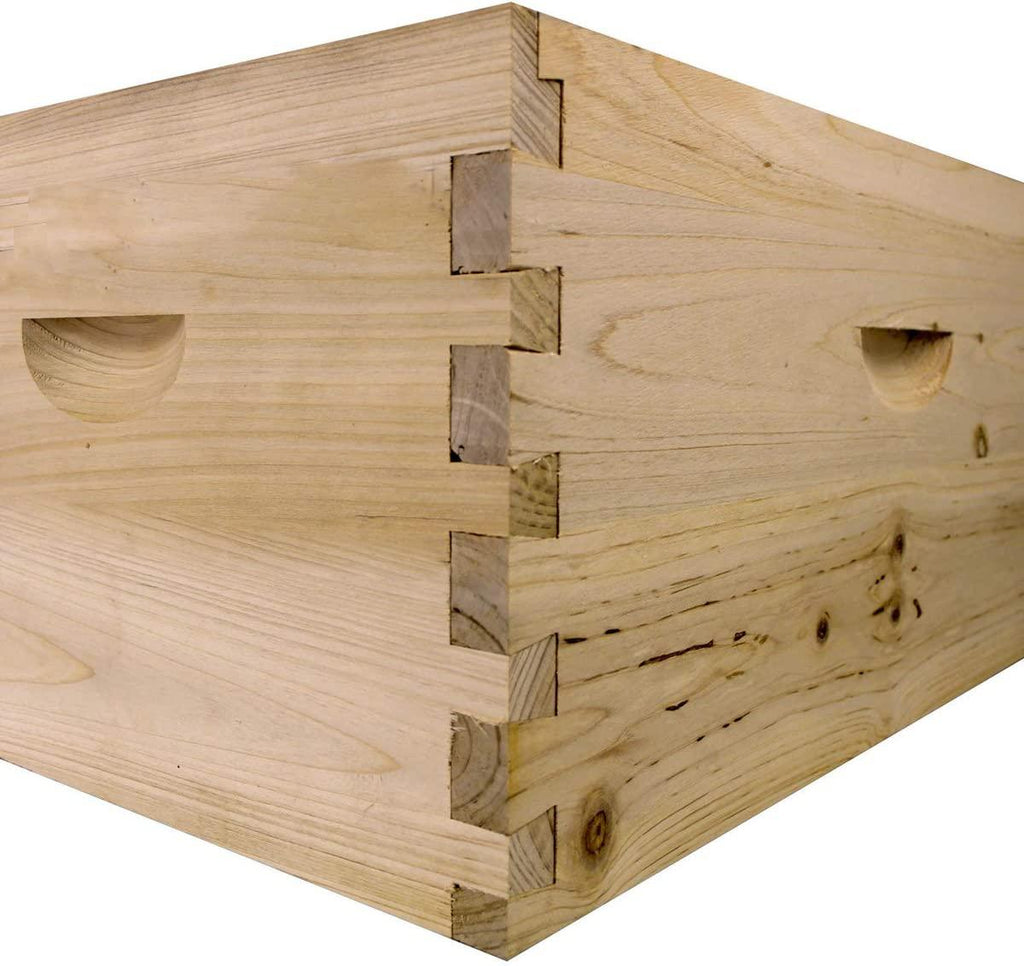 Starter Bee Hive with Frames & Wax Coated Foundations (NU8-1D1M)