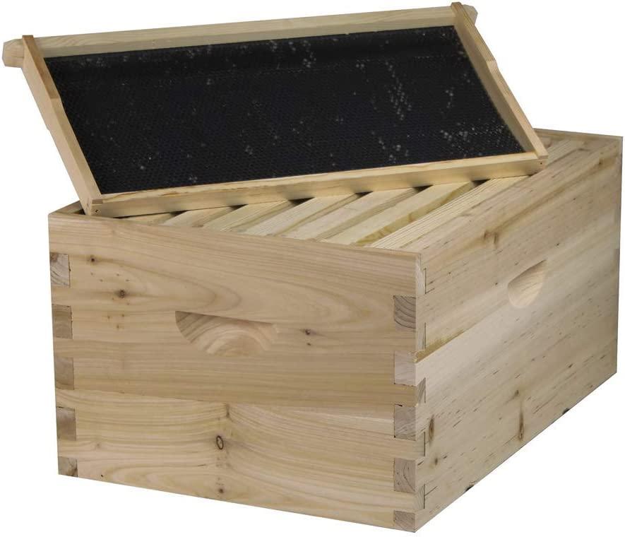 Bee Hive Complete with Frames & Wax Coated Foundations (NU8-2D1M)
