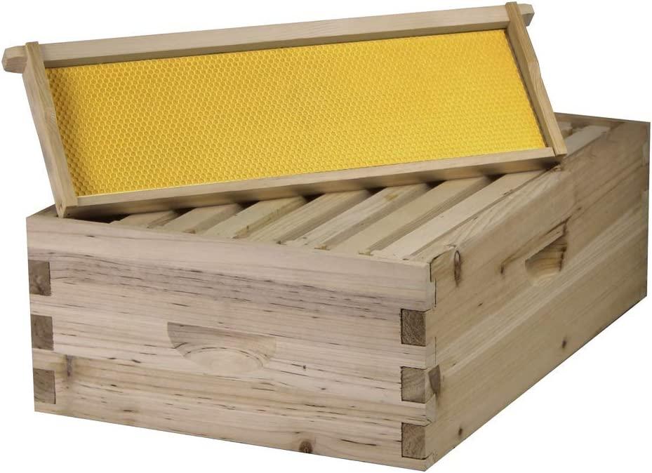 Starter Bee Hive with Frames & Wax Coated Foundations (NU8-1D1M)