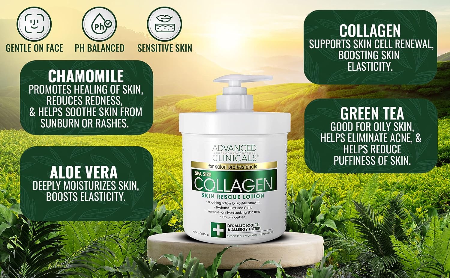 Advanced Clinicals Collagen Cream Moisturizer Body Lotion &amp; Face Cream | Dry Skin Rescue Collagen Lotion | Skin Tightening Cream | Skin Firming + Tightening Lotion | Body Skin Care Products, 2-Pack