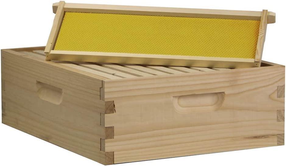 Amish Made in USA Starter Bee Hive Complete for Honey with Frames and Foundations 10 Frame