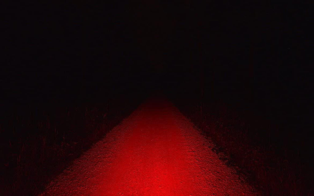 Lupine Lighting Systems Rotlicht/REDLIGHT Tail-light: Bright, and BRIGHTER STILL with its genius functions - With incredible 160 Lumens of red light output, this is probably the most powerful tail light with an integrated battery - Brake Li