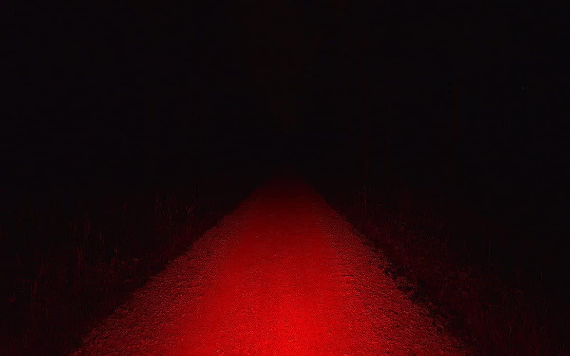 Lupine Lighting Systems Rotlicht/REDLIGHT Tail-light: Bright, and BRIGHTER STILL with its genius functions - With incredible 160 Lumens of red light output, this is probably the most powerful tail light with an integrated battery - Brake Li