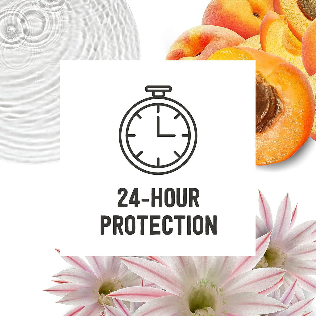 Schmidt's 100% Natural Origin Ingredient Deodorant Stick Fresh Rain &amp; Birch 2 Count for 24-Hour Odor Protection 2.65 oz