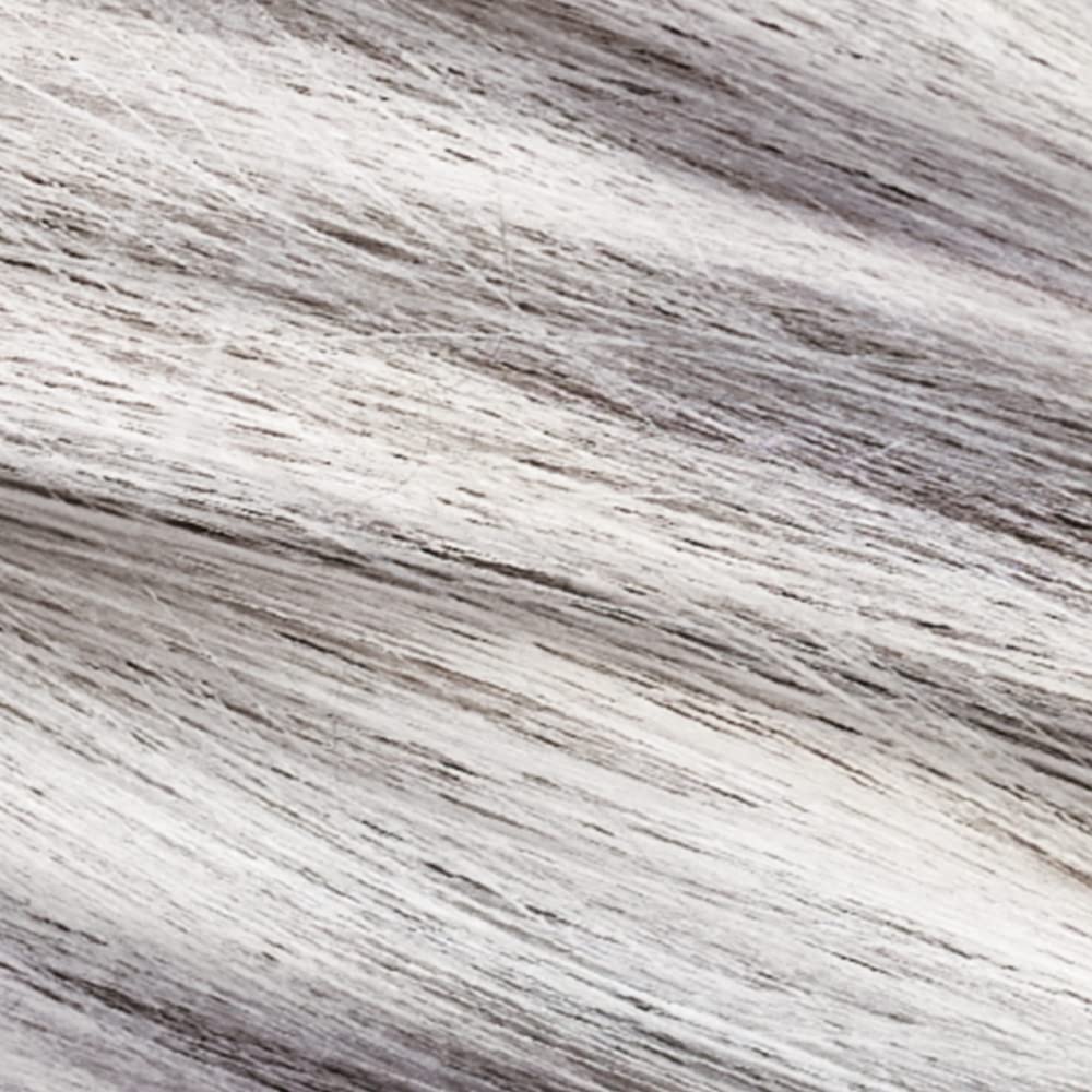 L’Oréal Paris Le Color Gloss One Step In-Shower Toning Hair Gloss, Neutralizes Brass, Conditions &amp; Boosts Shine, Silver, 4 Ounce